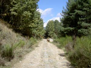 Camino del Puricelli - Cercedilla
